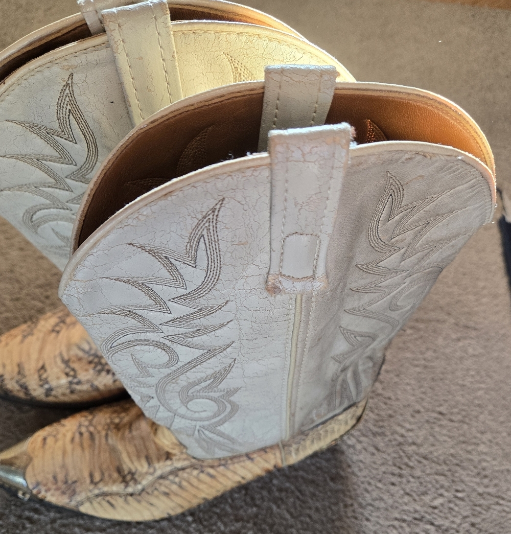 Pair of Snake Skin Cowboy Boots